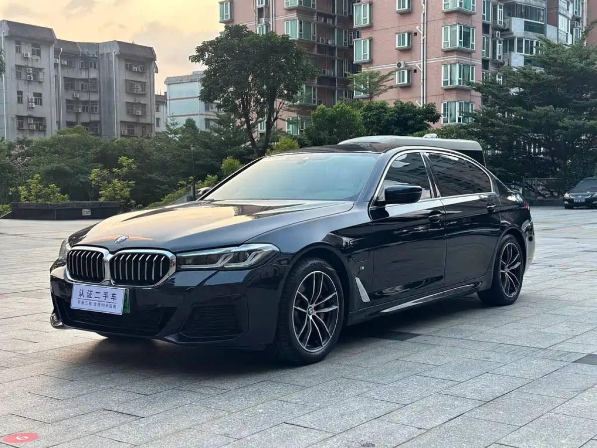 BMW 5-SERIES NEW ENERGY  2021