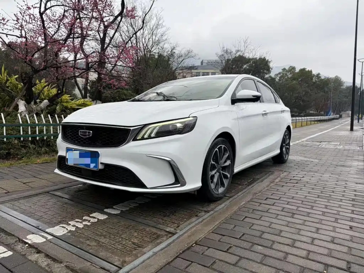 GEELY AUTO BINRUI