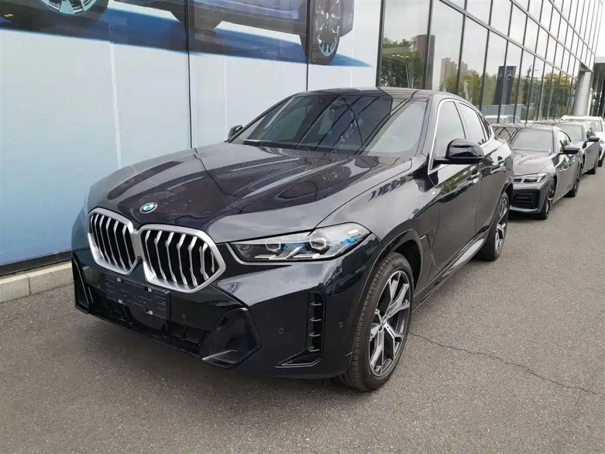 BMW X6