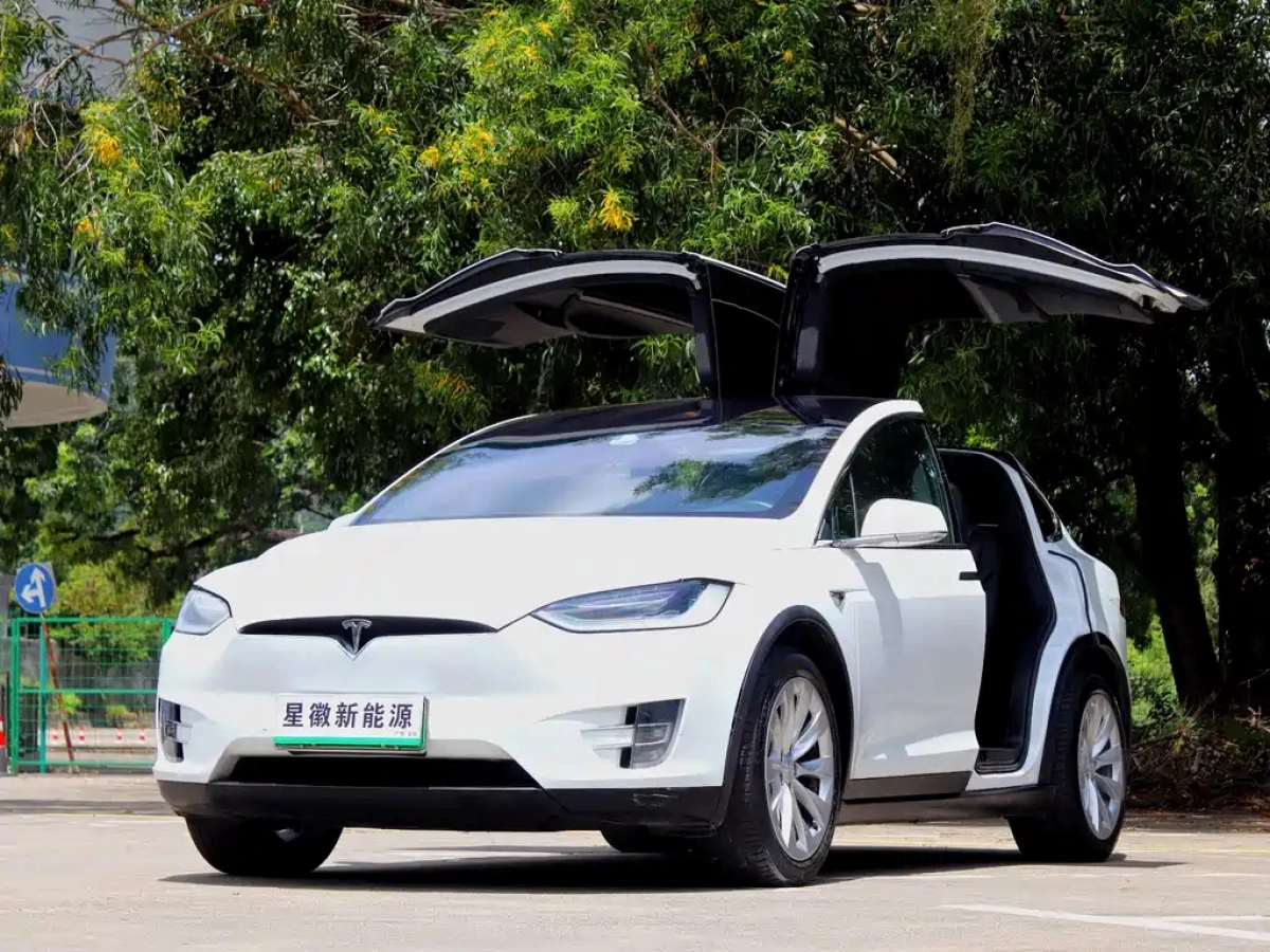 TESLA MODEL X
