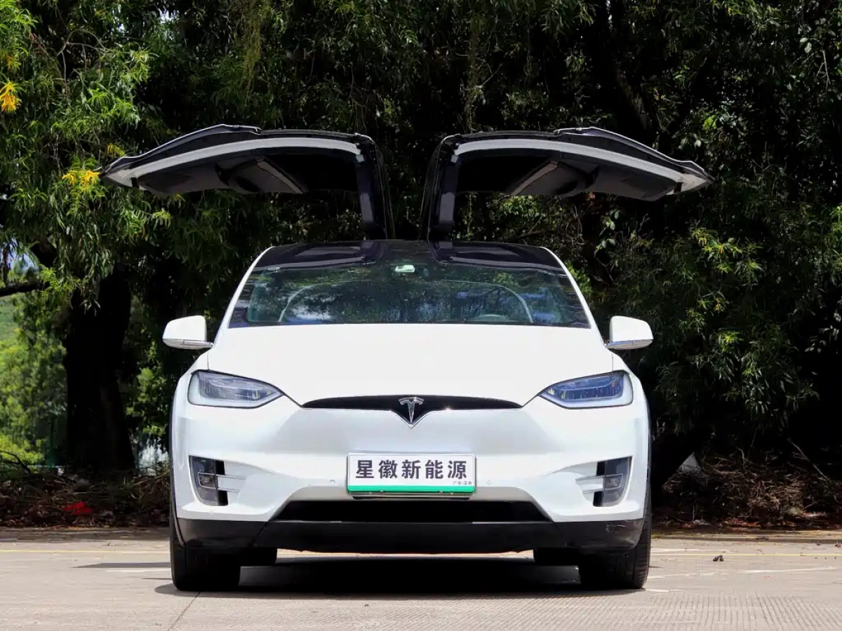TESLA MODEL X