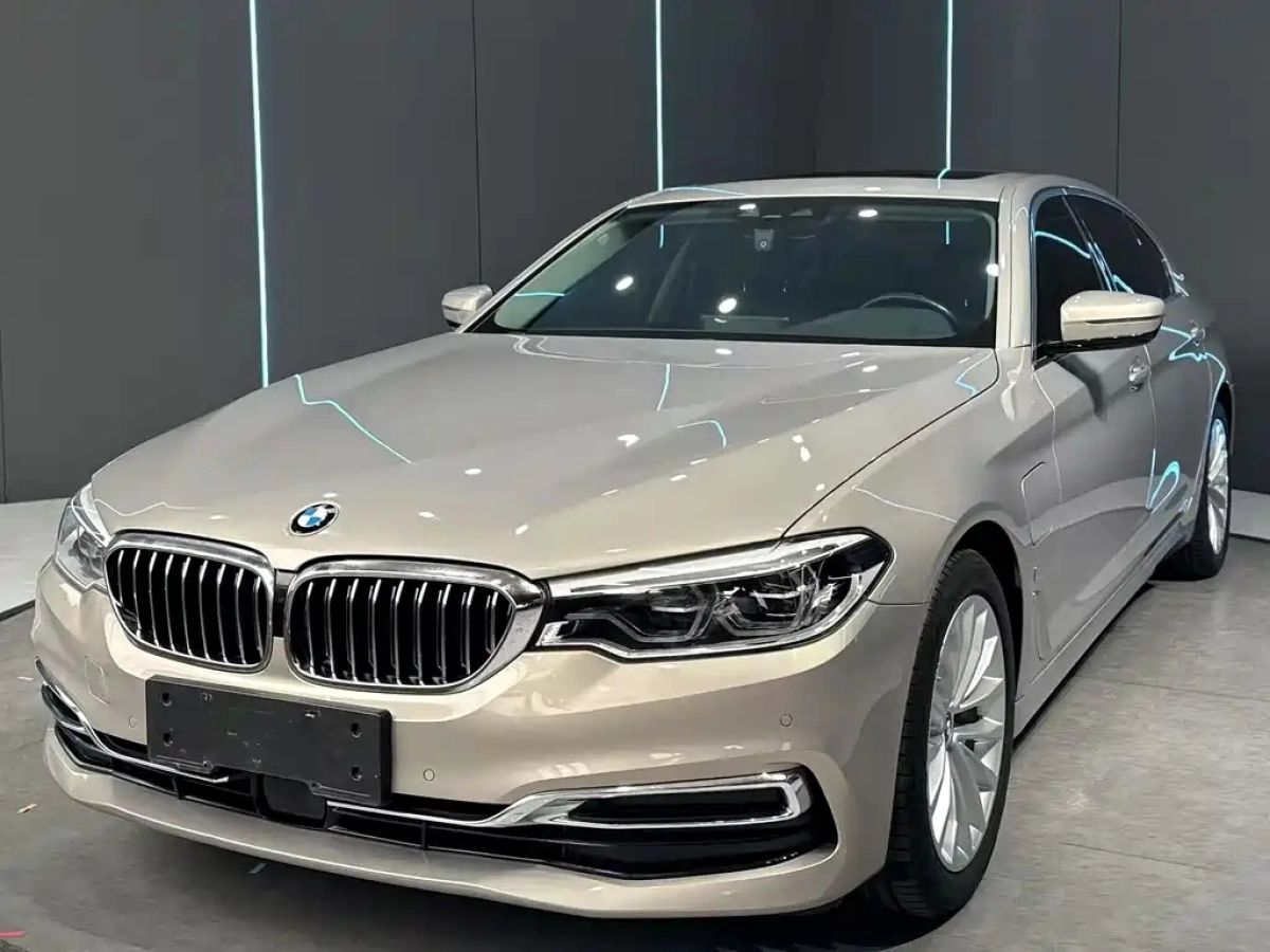 BMW 5-SERIES NEW ENERGY  2019