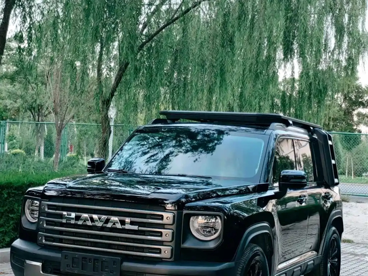 HAVAL RAPTOR NEW ENERGY  2024