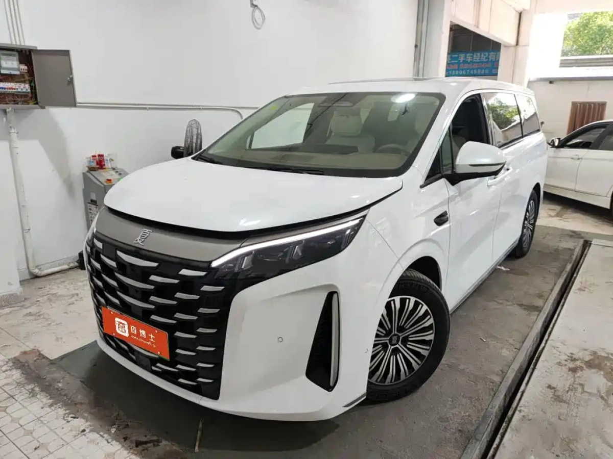 BYD XIA  2025