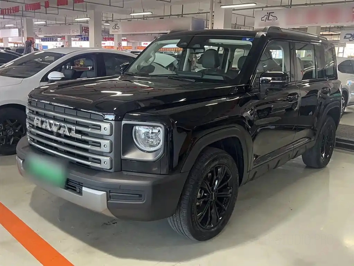 HAVAL RAPTOR NEW ENERGY