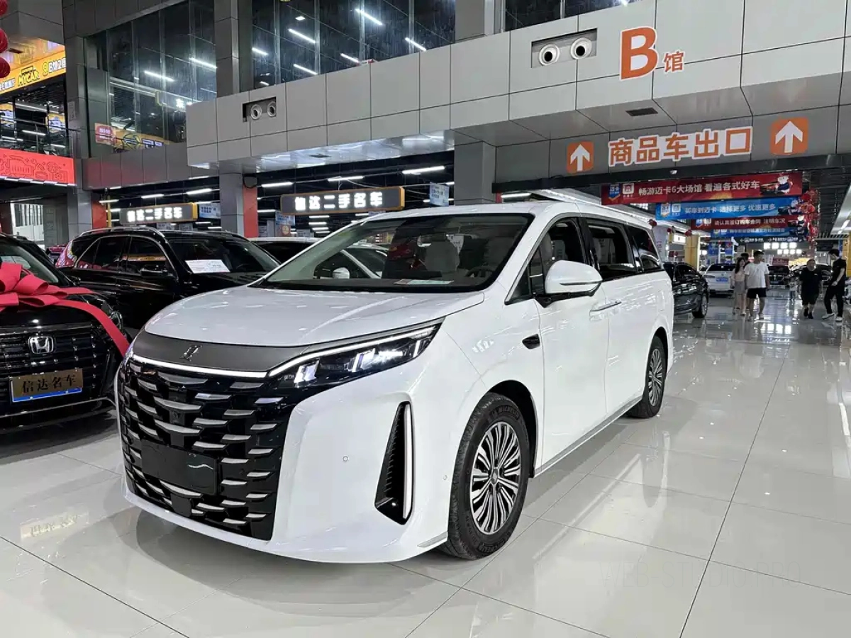 BYD XIA