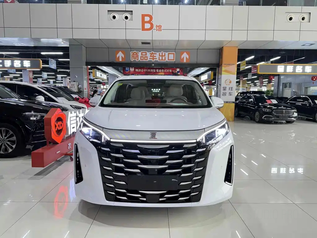 BYD XIA