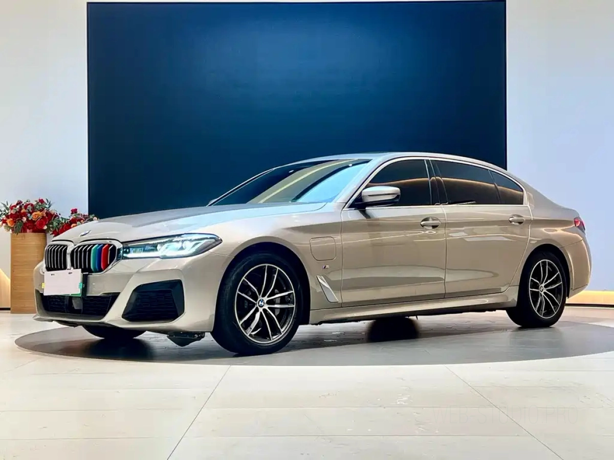 BMW 5-SERIES NEW ENERGY