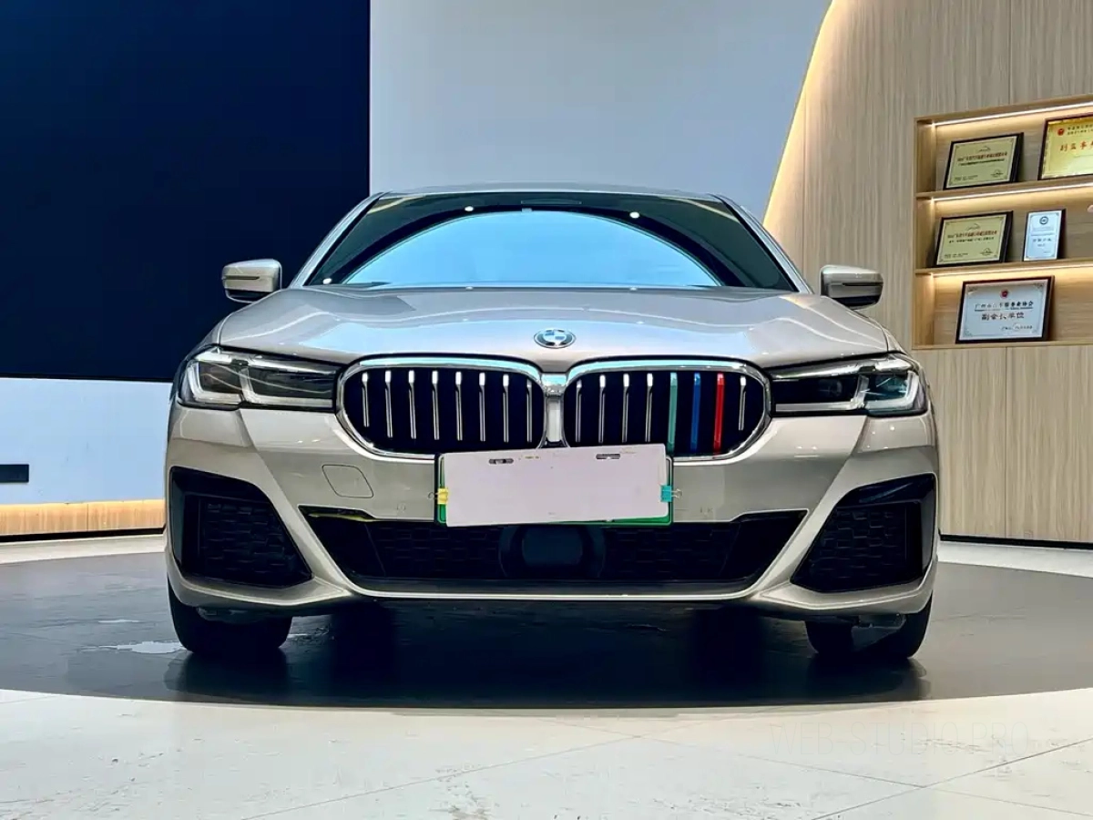 BMW 5-SERIES NEW ENERGY