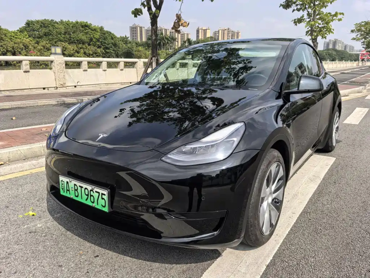 TESLA MODEL Y