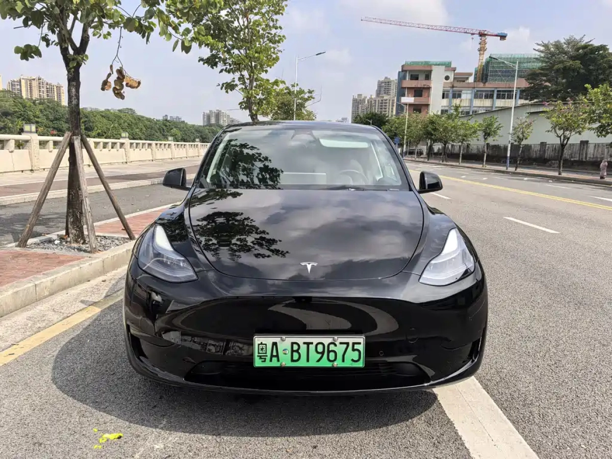 TESLA MODEL Y