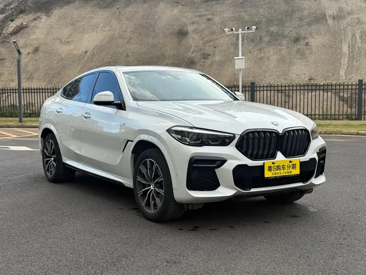 BMW X6