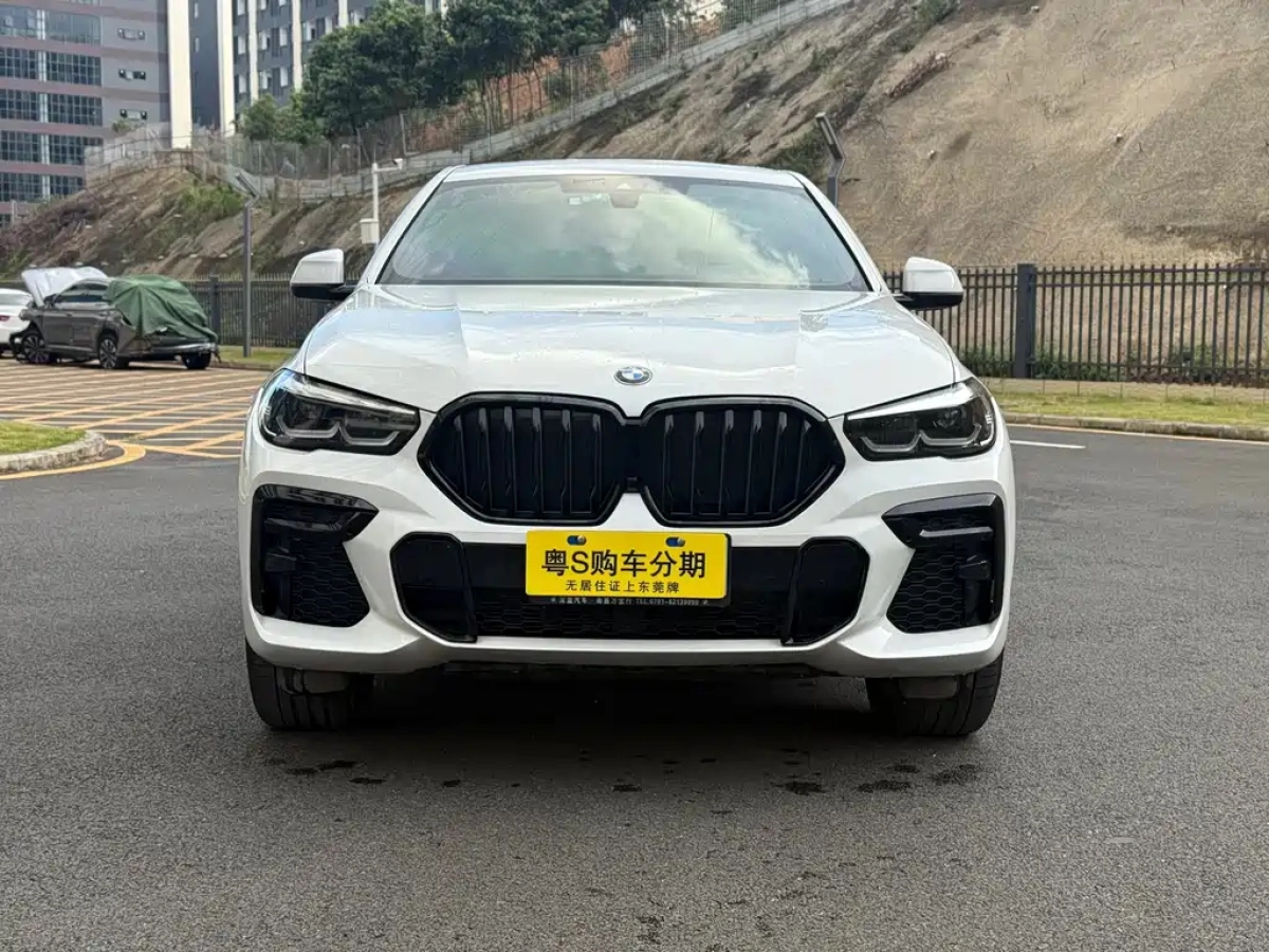 BMW X6