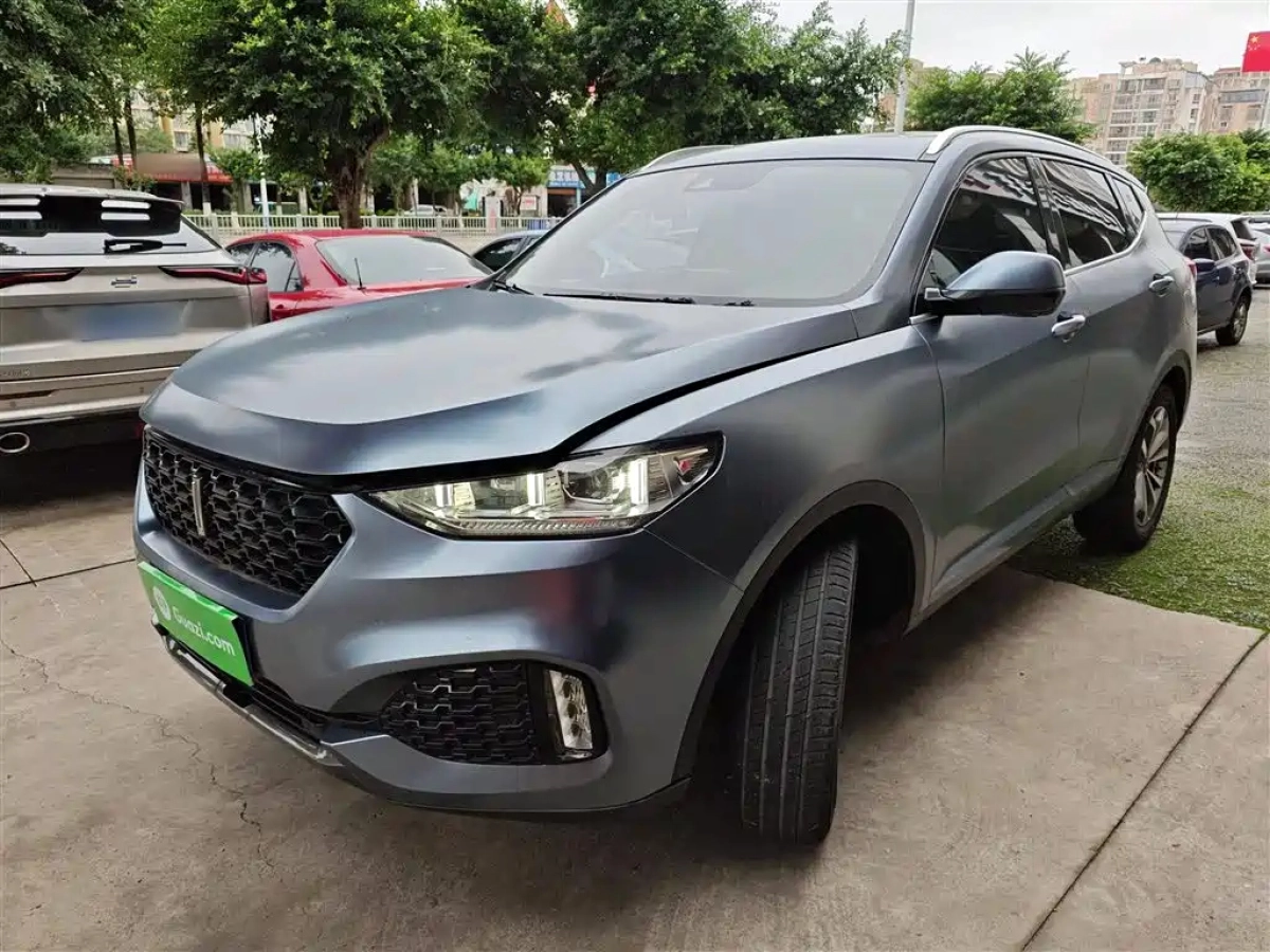 WEY VV6  2019