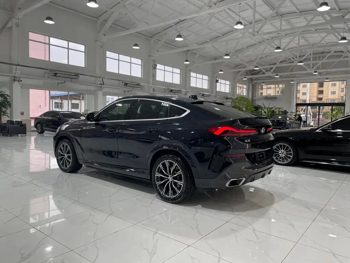BMW X6