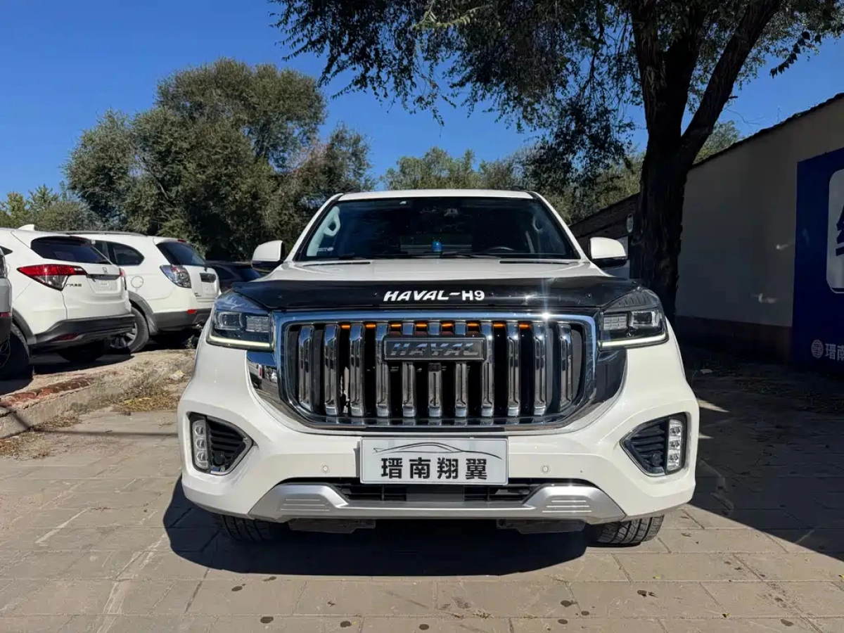 HAVAL H9