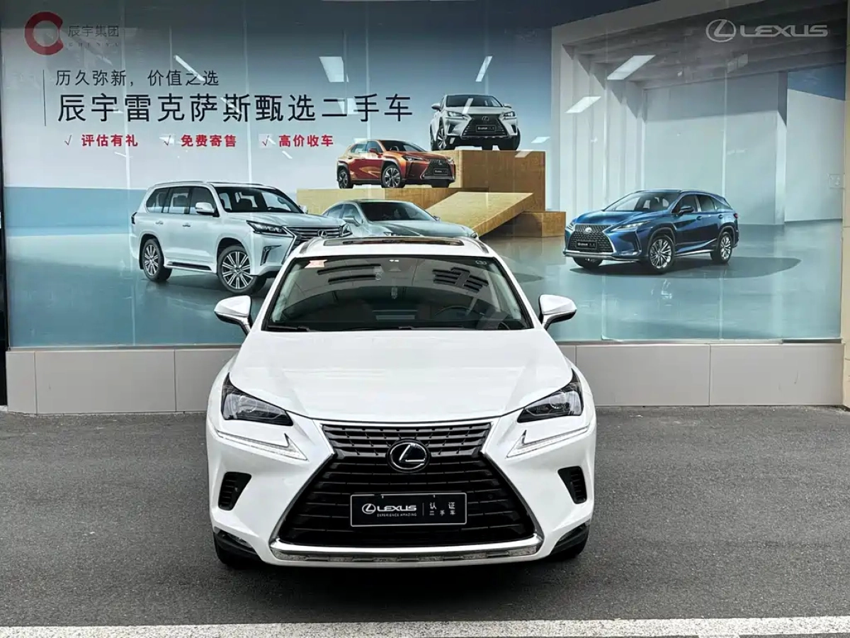 LEXUS NX