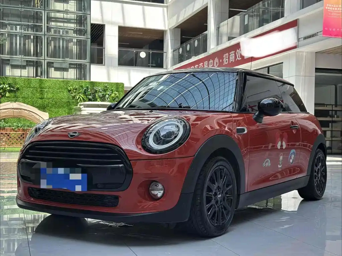 MINI OTHER  2019