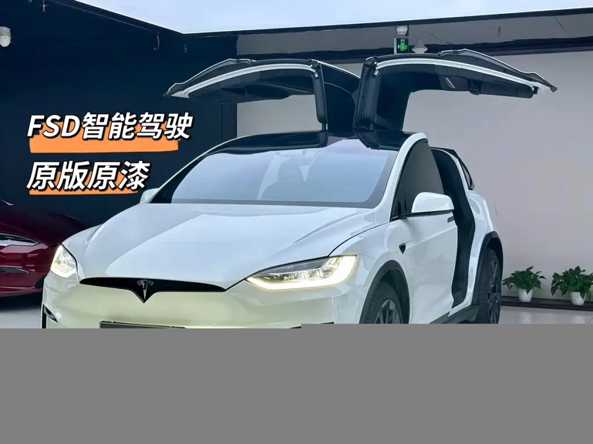 TESLA MODEL X