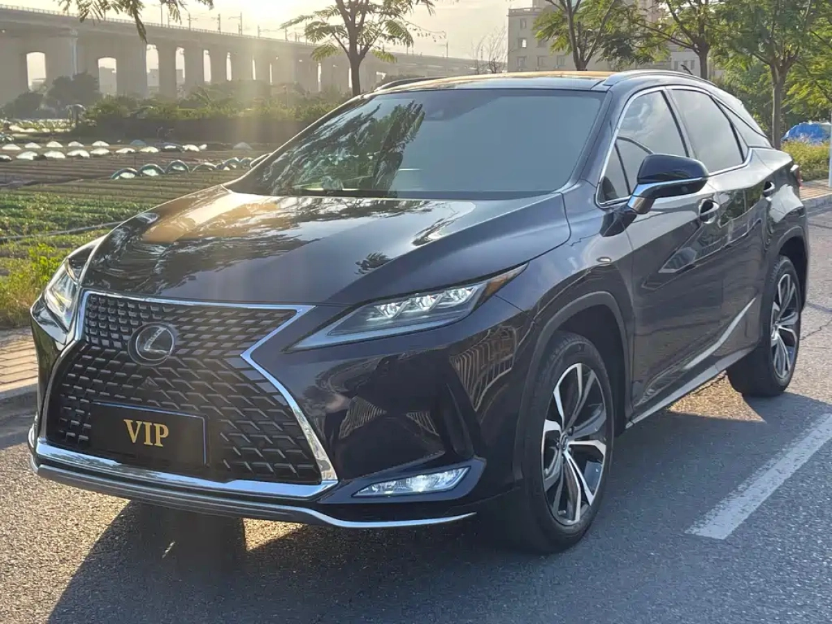 LEXUS RX