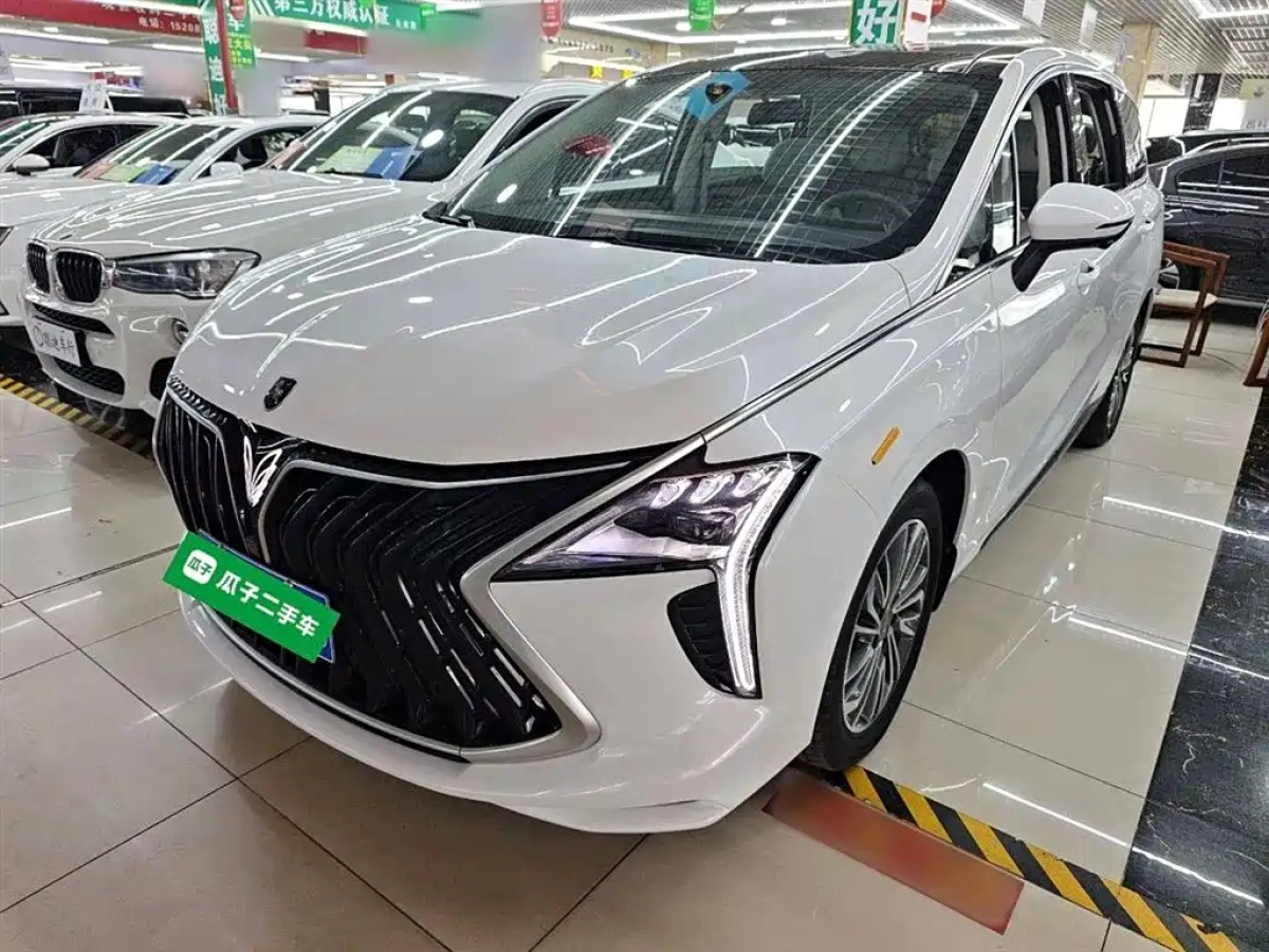 DONGFENG FORTHING 游艇