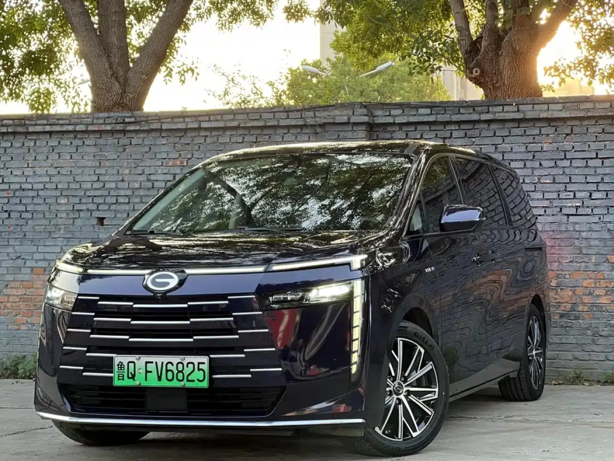 TRUMPCHI E8 NEW ENERGY  2024