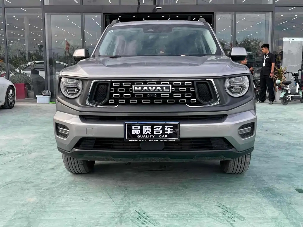 HAVAL BIG DOG II
