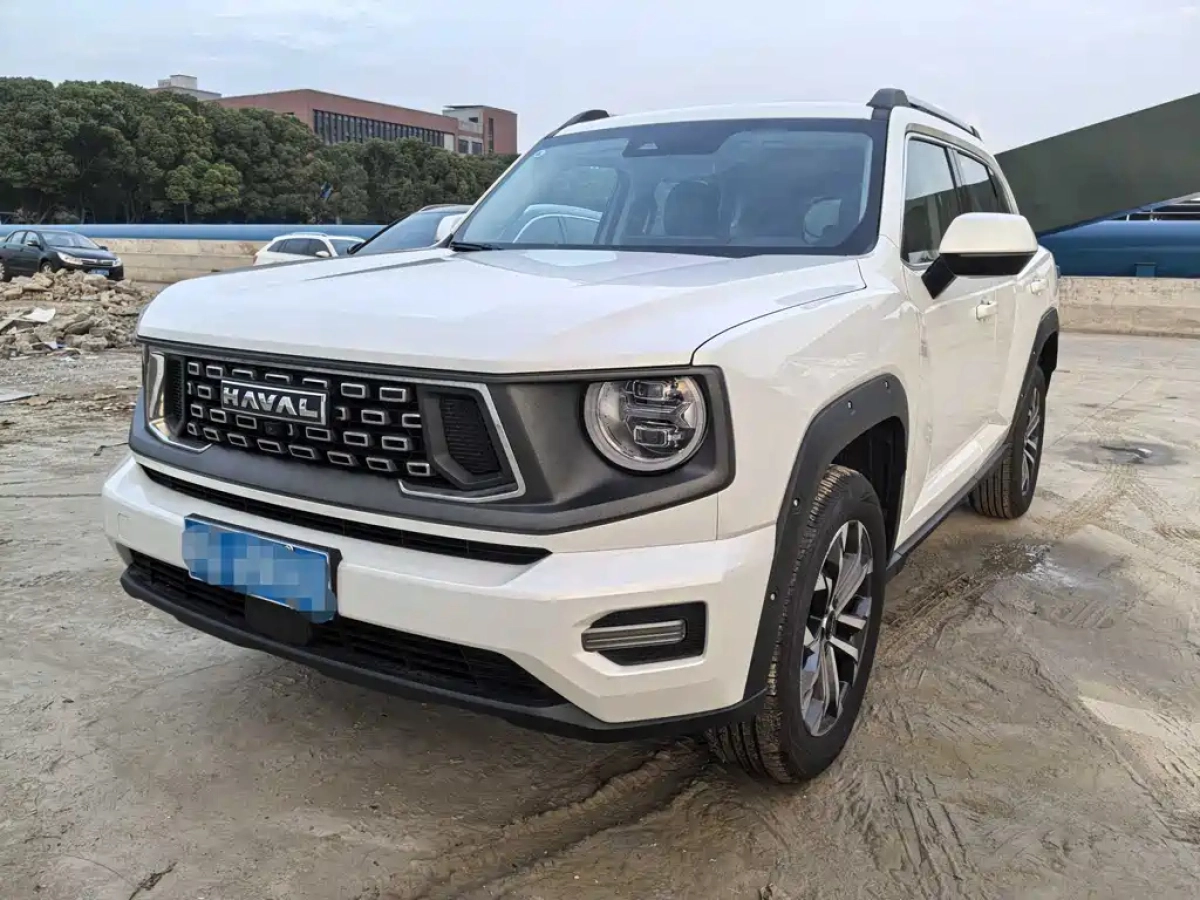 HAVAL BIG DOG II