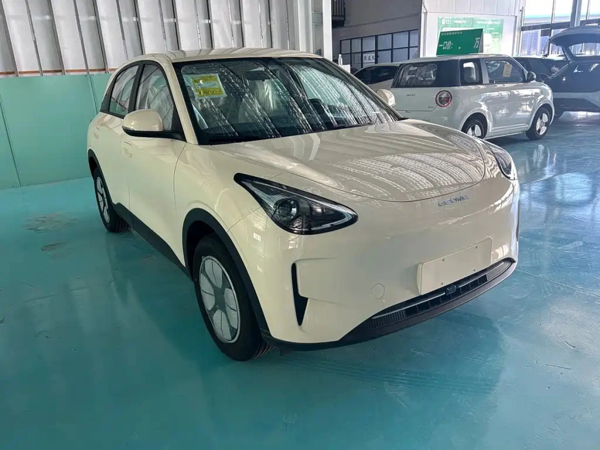 GEELY AUTO XINGYUAN