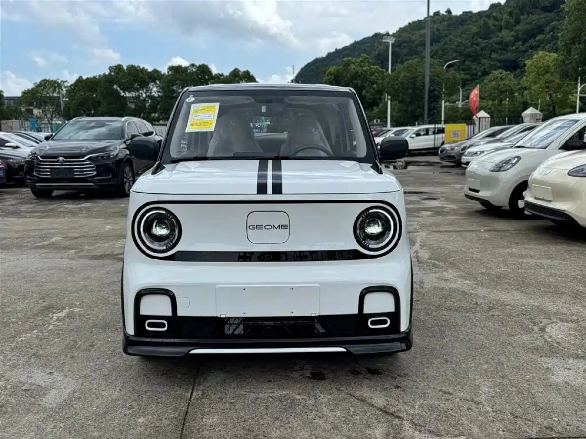 GEELY AUTO PANDA