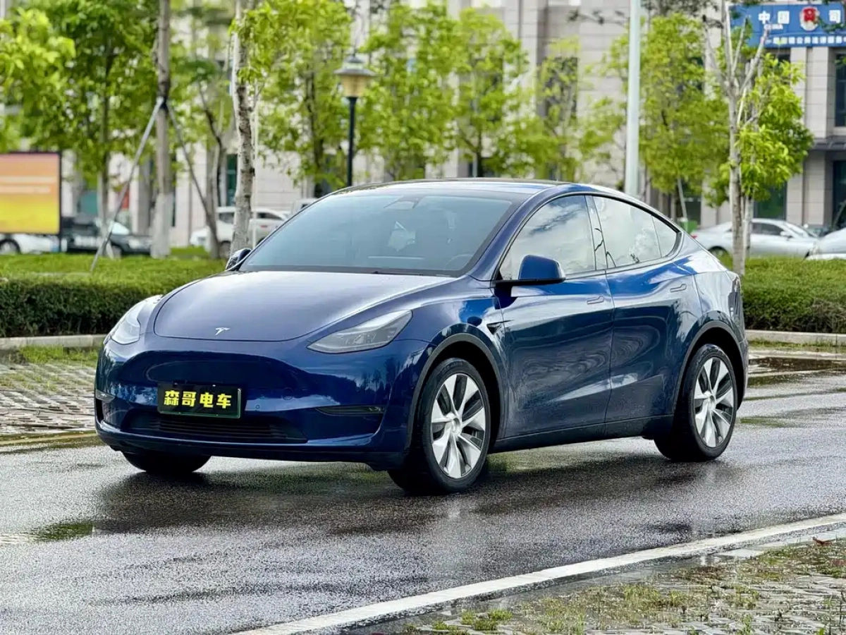 TESLA MODEL Y