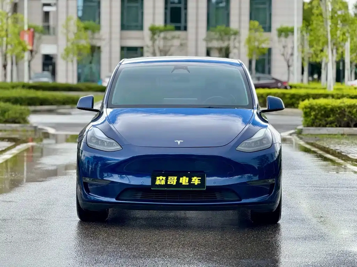 TESLA MODEL Y