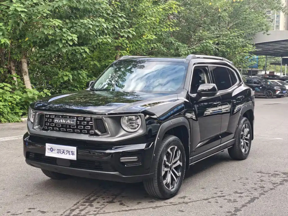 HAVAL BIG DOG II