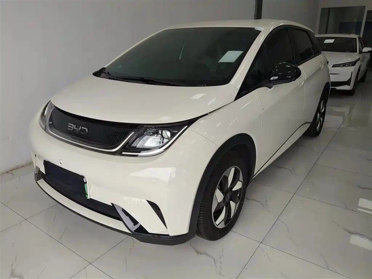 BYD DOLPHIN  2025