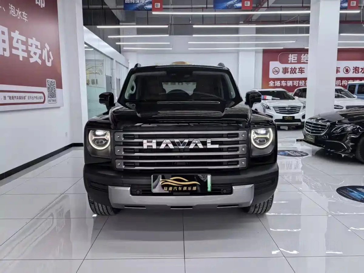 HAVAL RAPTOR NEW ENERGY