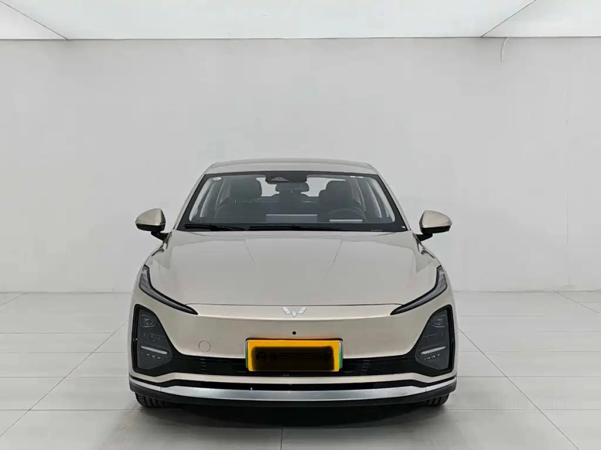 SGMW WULING STARLIGHT