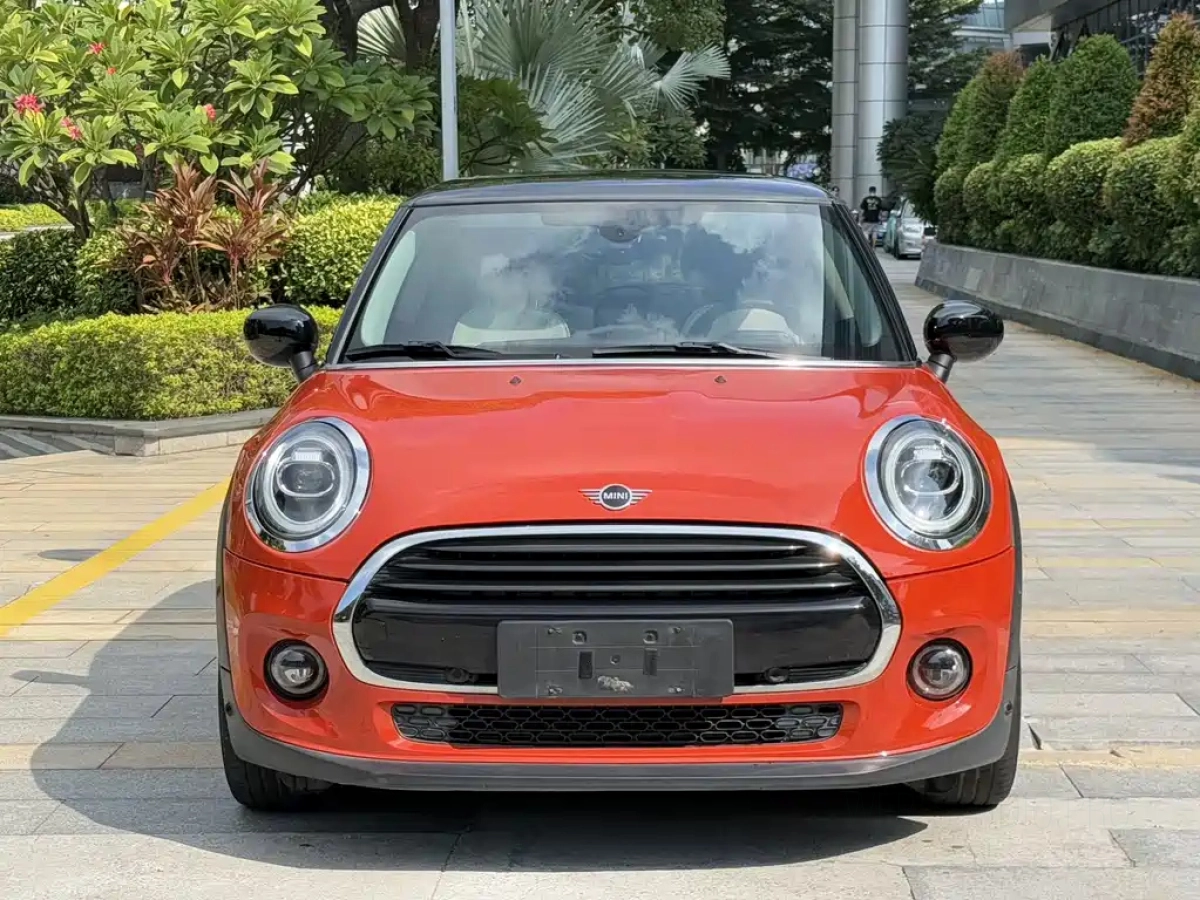 MINI OTHER