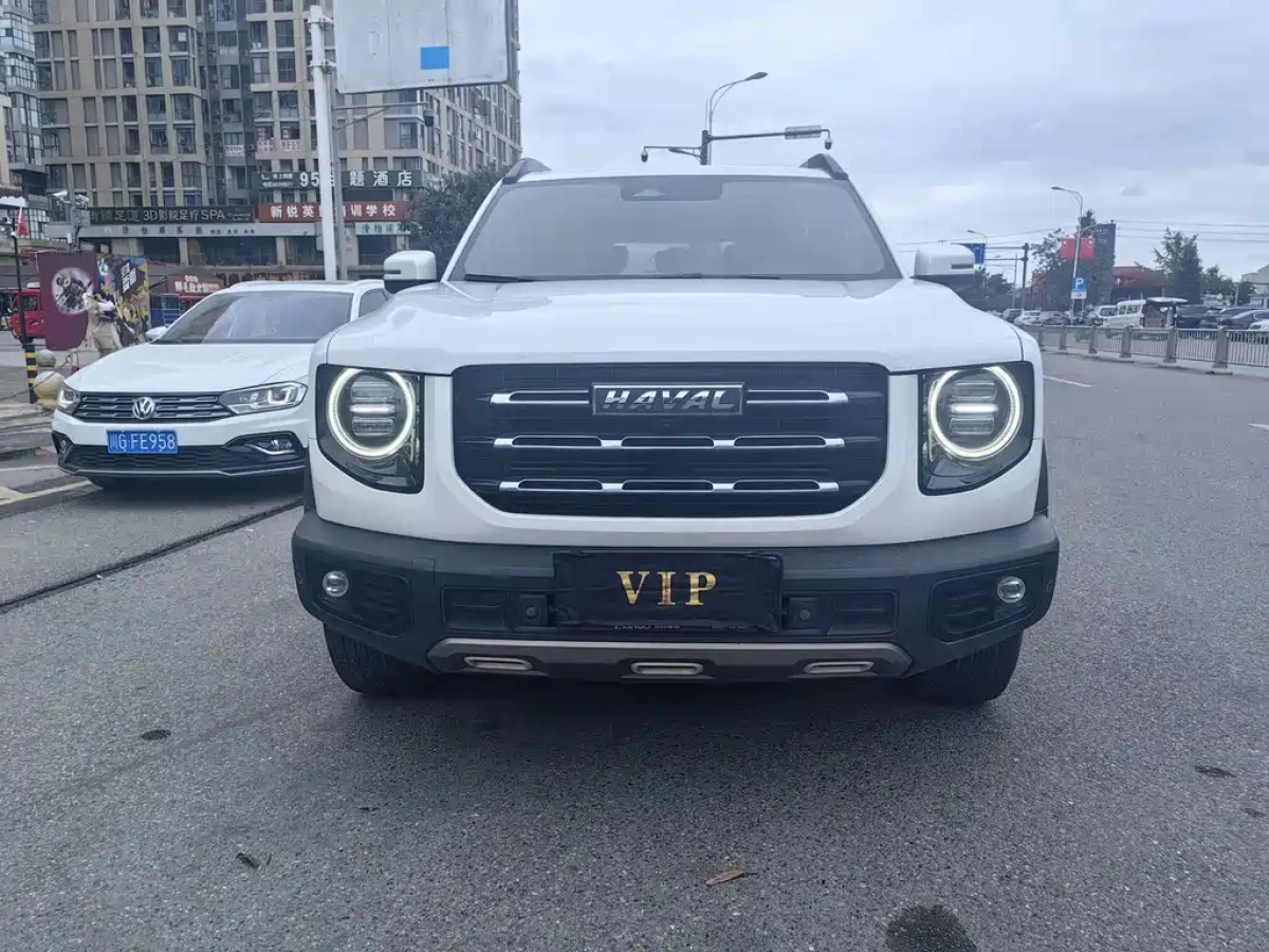 HAVAL BIG DOG