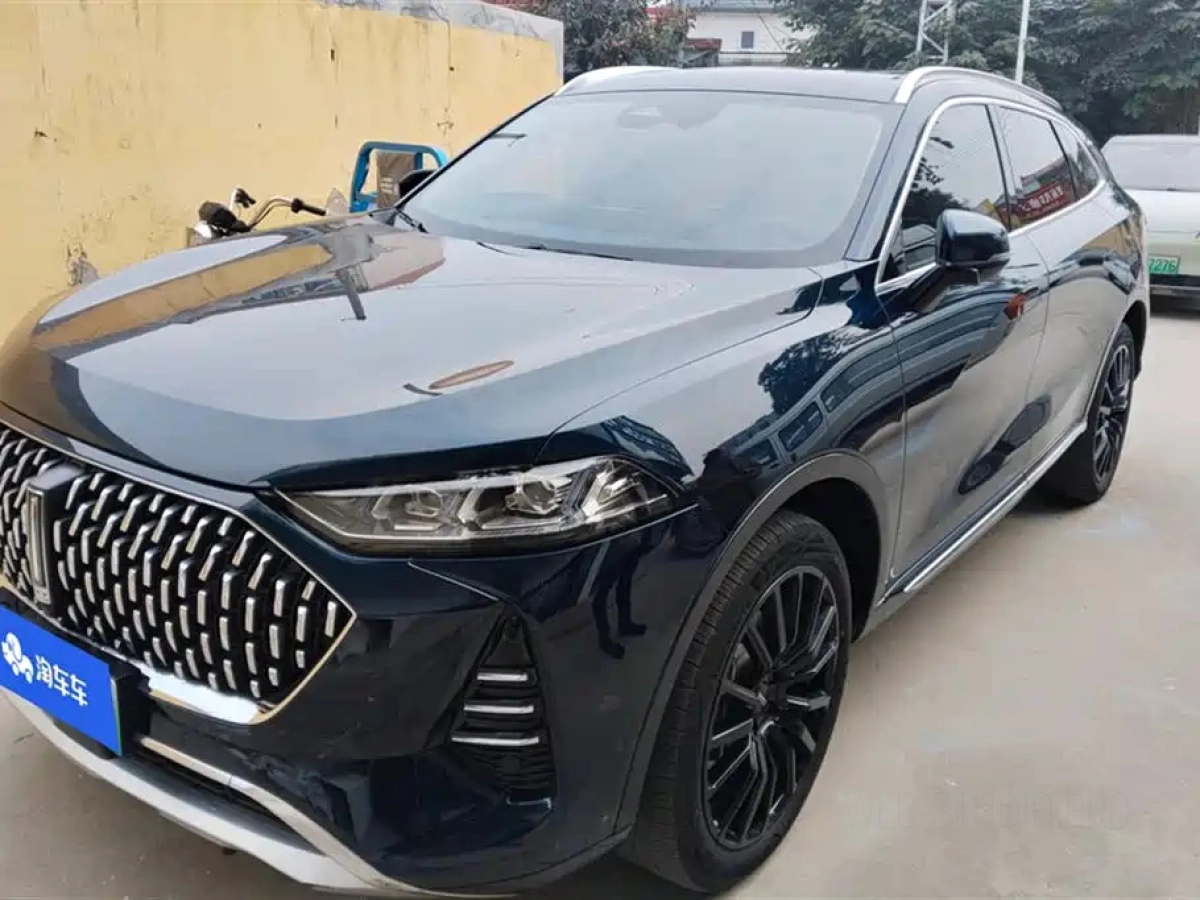 WEY 摩卡 NEW ENERGY