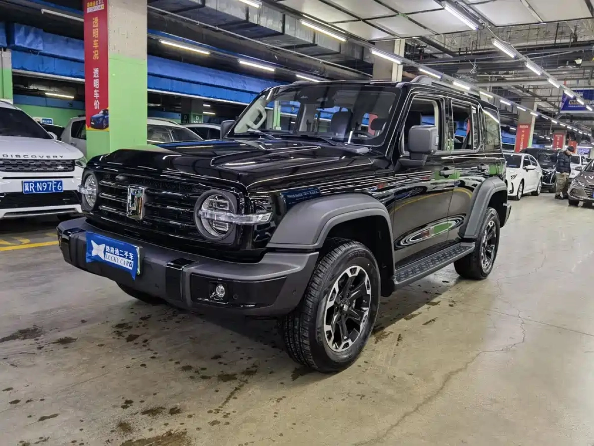 TANK 300 NEW ENERGY  2025