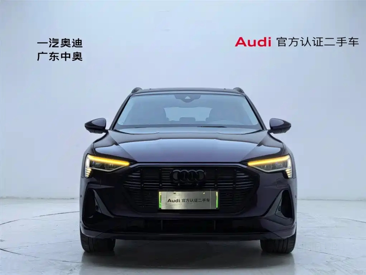 AUDI E-TRON IMPORT