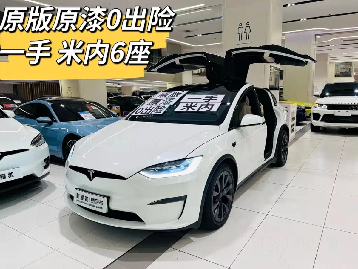 TESLA MODEL X
