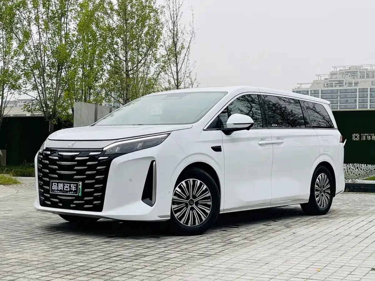 BYD XIA  2025