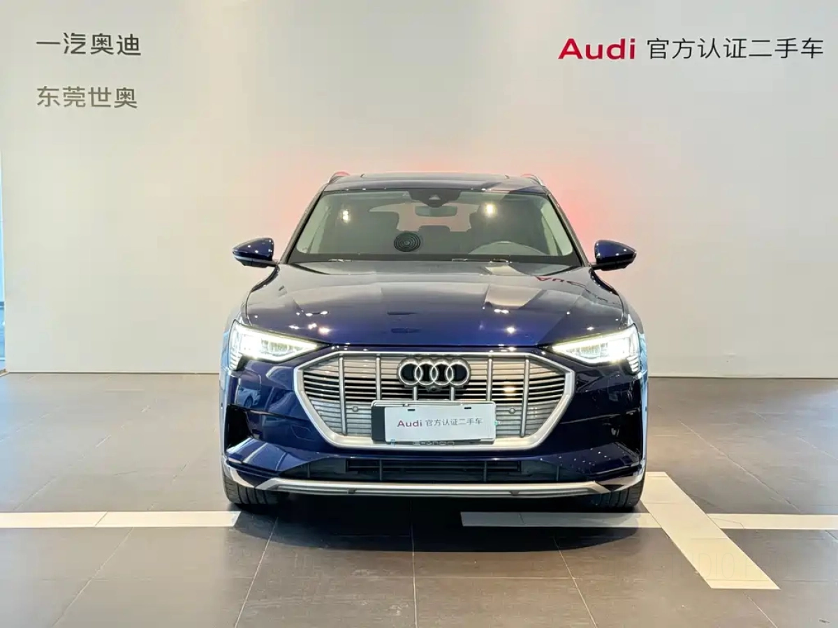 AUDI E-TRON IMPORT