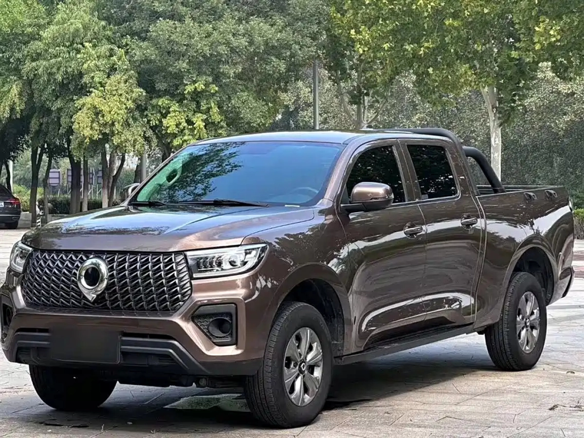 GREAT WALL POER  2023