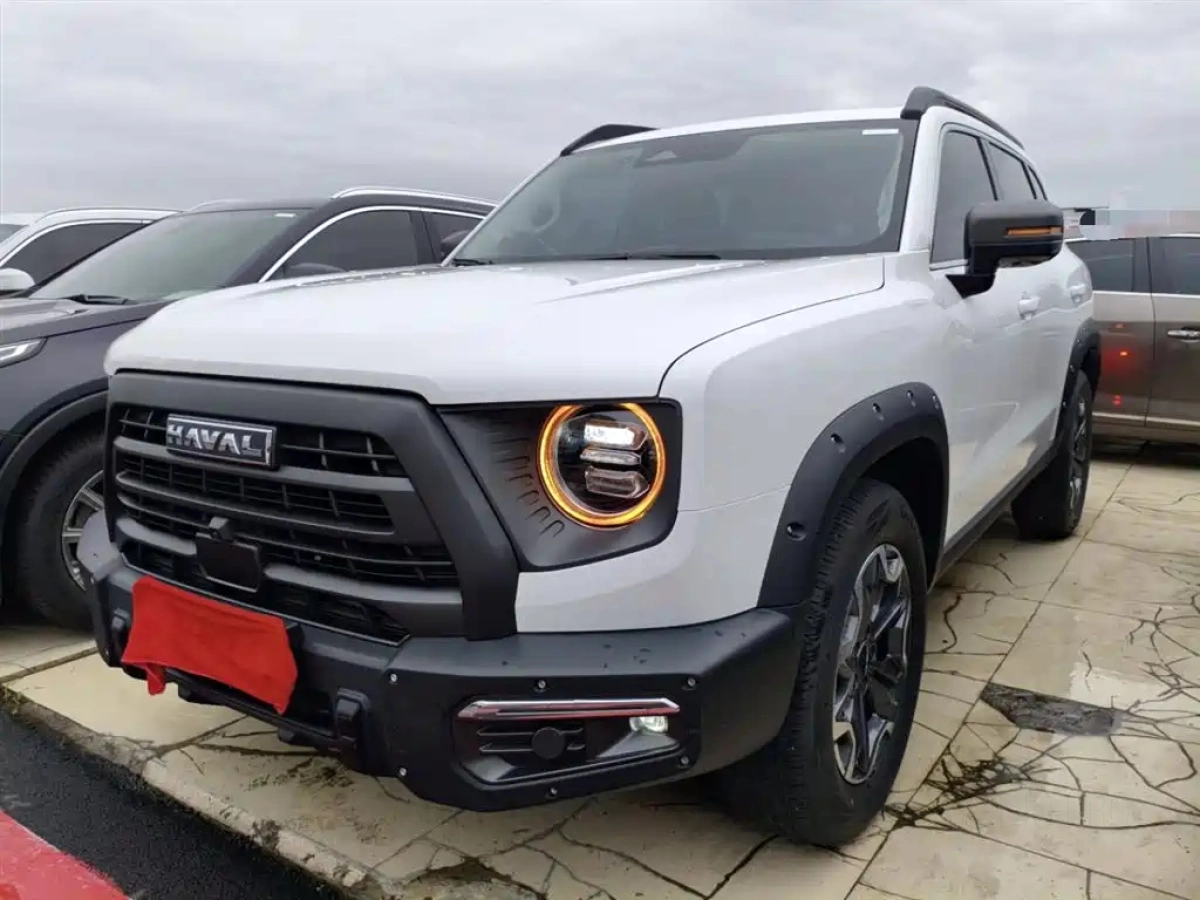 HAVAL BIG DOG