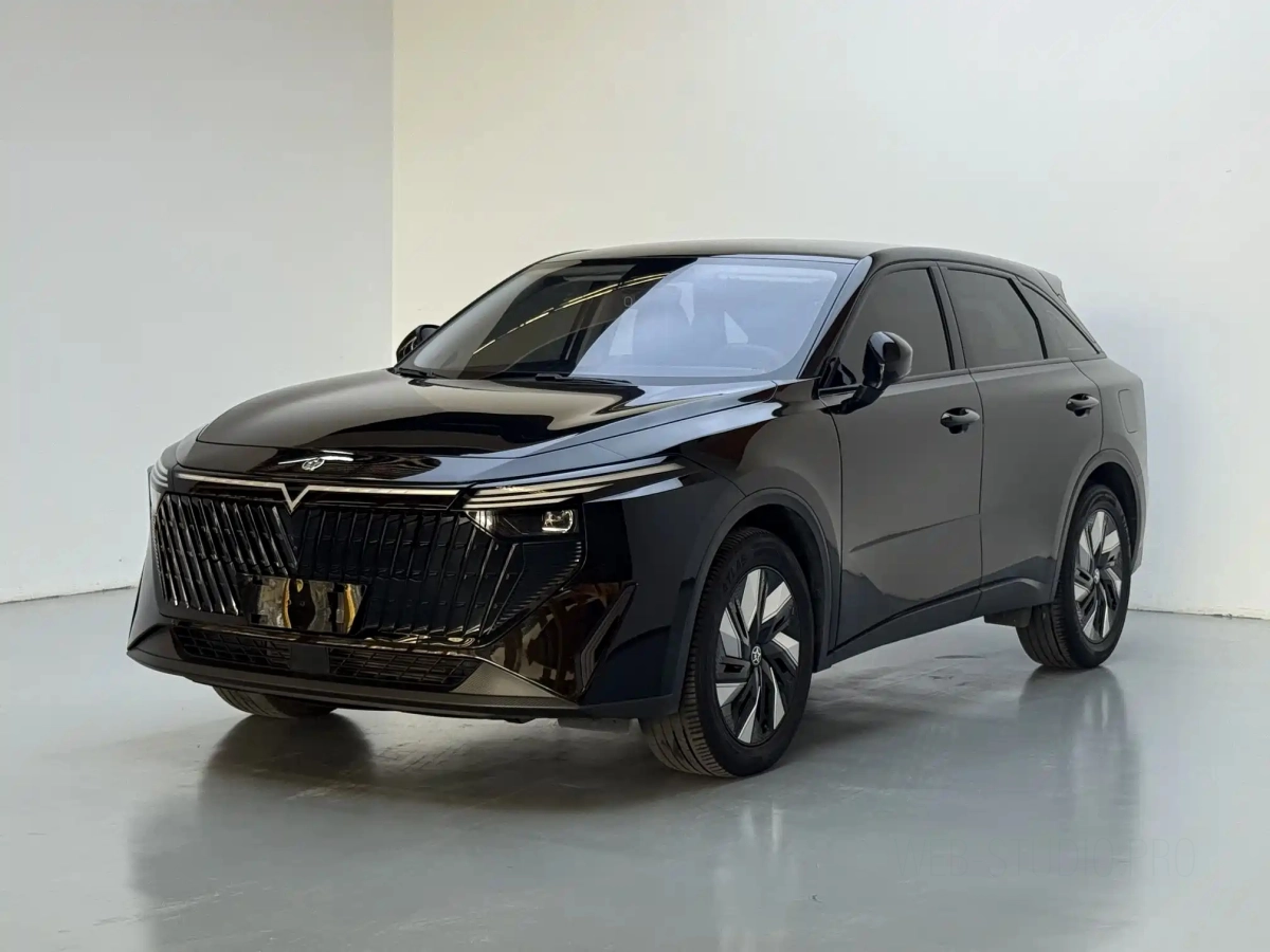 VENUCIA BIG V DD-I超 HYBRID