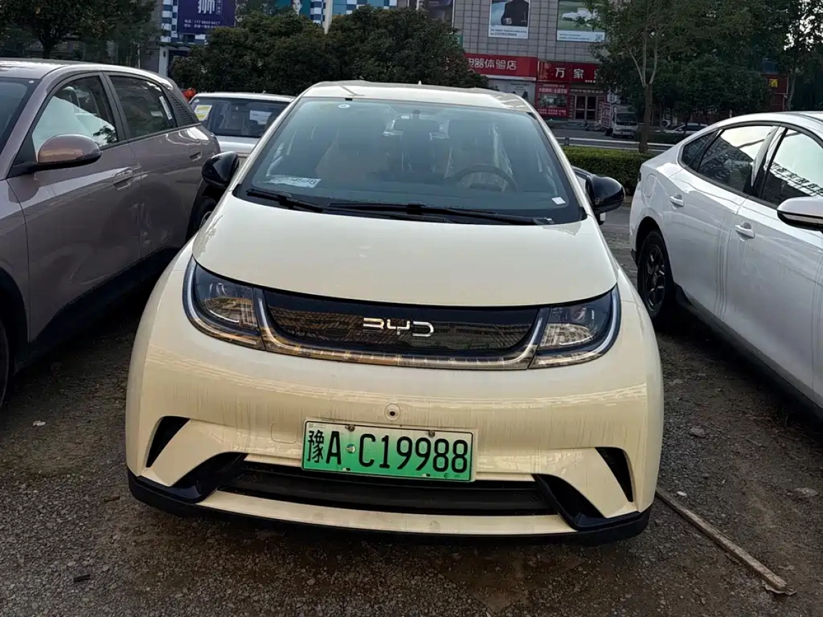 BYD DOLPHIN