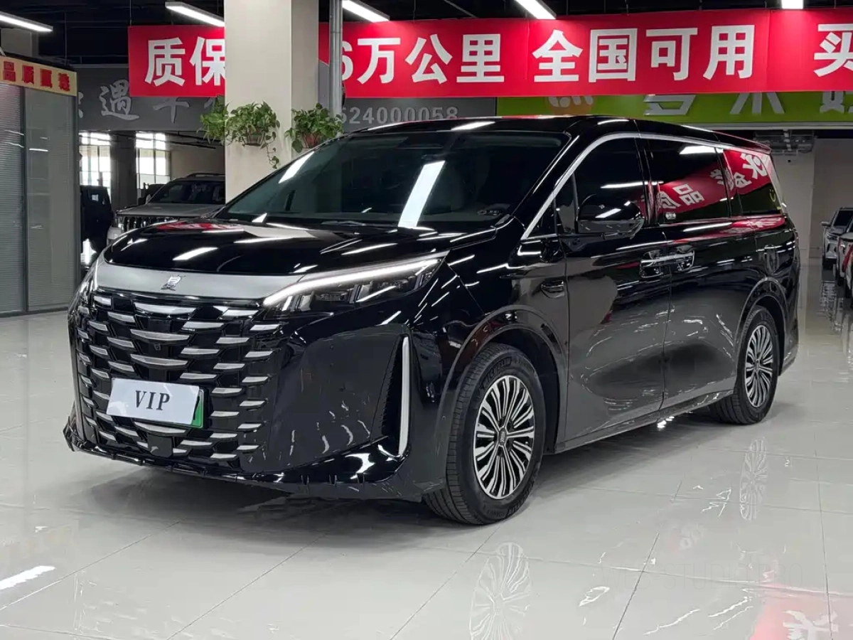 BYD XIA  2025