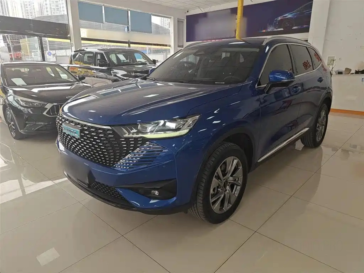 HAVAL H6 NEW ENERGY  2022